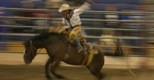 North Texas Fair and Rodeo in Denton Texas