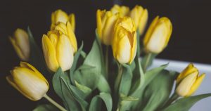 Yellow tulip bouquet 